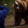 Американка сфотографировала медведя и попала в тюрьму