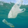 Океанологи подсчитали массу пластика в Средиземном море