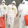 На севере Франции зарегистрировали очаг вируса птичьего гриппа