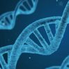 Японские учёные создали первую искусственную геномную ДНК