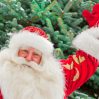 В России суд приостановил рассмотрение дела против Деда Мороза