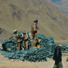 Афганское сопротивление объявило об уничтожении более 60 талибов