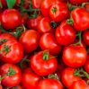 Россия разрешила ввоз томатов и яблок еще 12 компаниям Азербайджана