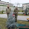 Алиевы посадили деревья на территории воинской части в Гадруте