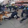 В Амстердаме полиция спустила собак на митингующих