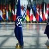 Президент Литвы призвал Швецию и Финляндию как можно быстрее вступать в НАТО