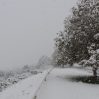 В горных районах Азербайджана выпал снег