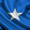 Премьер-министр Сомали создал комитет для расследования попытки госпереворота