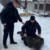 Задержан солдат, расстрелявший в Украине сослуживцев