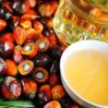 На пальме: В Азербайджане растут объемы использования пальмового масла 