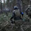 Украинская разведка готовит оккупантам ад в лесах