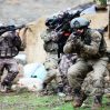 Турецкая армия ликвидировала 7 террористов на севере Ирака и Сирии