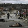CNN опубликовал новые доказательства убийств мирного населения военными РФ в Буче