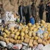 В Иране конфисковано 900 тонн наркотиков