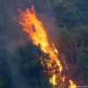 Север Италии охватили лесные пожары