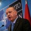 Турция не намерена ввязываться в "шоу по Украине", заявил Эрдоган