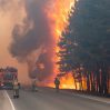 Россия охвачена лесными пожарами