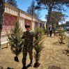 Сад памяти - в Баку посадили саженцы кипариса в память о жертвах войны 