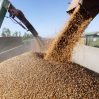 Около 2,7 млн тонн украинского зерна вывезли через Румынию