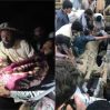 Мощное землетрясение в Афганистане: погибли свыше 950 человек, 600 пострадавших - ОБНОВЛЕНО