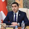 Председатель парламента Грузии удивлен заявлением президента страны