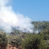 В Бодруме вспыхнул лесной пожар