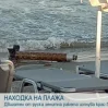 В Болгарии на пляж "вышел" обломок ракеты от российского ЗРК "Панцирь"