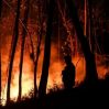 На фоне засухи и необычайно теплой погоды север Испании охватили крупные пожары