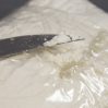 В Ирландии наркоторговцы перевозили кокаин на самолете – конфисковали все
