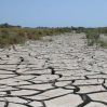 Франция создала штаб для борьбы с рекордной засухой