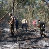 Масштабы лесных пожаров: где превентивный план МЧС?
