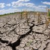 Европа столкнулась с сильнейшей засухой