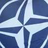 Президент и министр обороны Латвии призвали НАТО предоставить Украине танки и самолеты