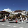 Китай уличили в сборе образцов ДНК тибетцев