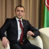«В рядах ВС Украины воюют около 500 этнических азербайджанцев»