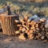 В России семьям мобилизованных начали выдавать дрова