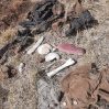 Проводится расследование по факту обнаружения человеческих костей в Джабраиле