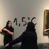 Картины Гойи стали жертвами экоактивистов в Мадриде