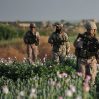 ООН: В Афганистане увеличилось производство наркотиков