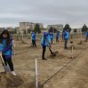 В рамках "Зеленого марафона" в Азербайджане проведены акции по посадке деревьев
