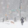 9 человек стали жертвами снежной бури в США