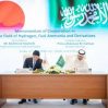 Япония и Саудовская Аравия подписали меморандум о поставках новых видов энергии