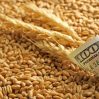 Дорожающая российская пшеница рулит на местном рынке