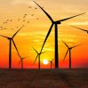 В ОАЭ предложили перейти на возобновляемые источники энергии к 2050 году