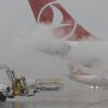 Turkish Airlines перевезла почти 12 тыс. добровольцев в зону землетрясений