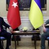 Эрдоган с беседе с Зеленским заявил о готовности Турции к вкладу в мир в Украине