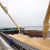 Венгрия ужесточает контроль за транзитом украинского зерна