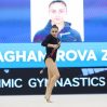 Азербайджанская гимнастка вышла в финал соревнований Кубка мира