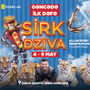 Тигры отправились в Гянджу: цирк DZİVA гастролирует по Азербайджану 