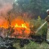 В Казахстане удалось локализовать лесной пожар